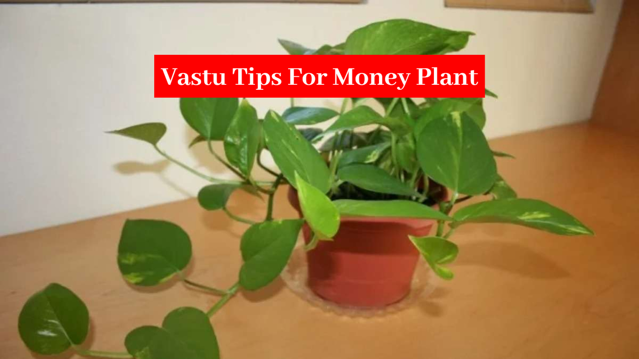 Vastu Tips: Keep Money