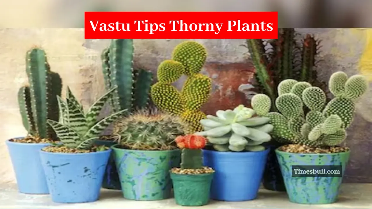 Vastu Tips Thorny Plants