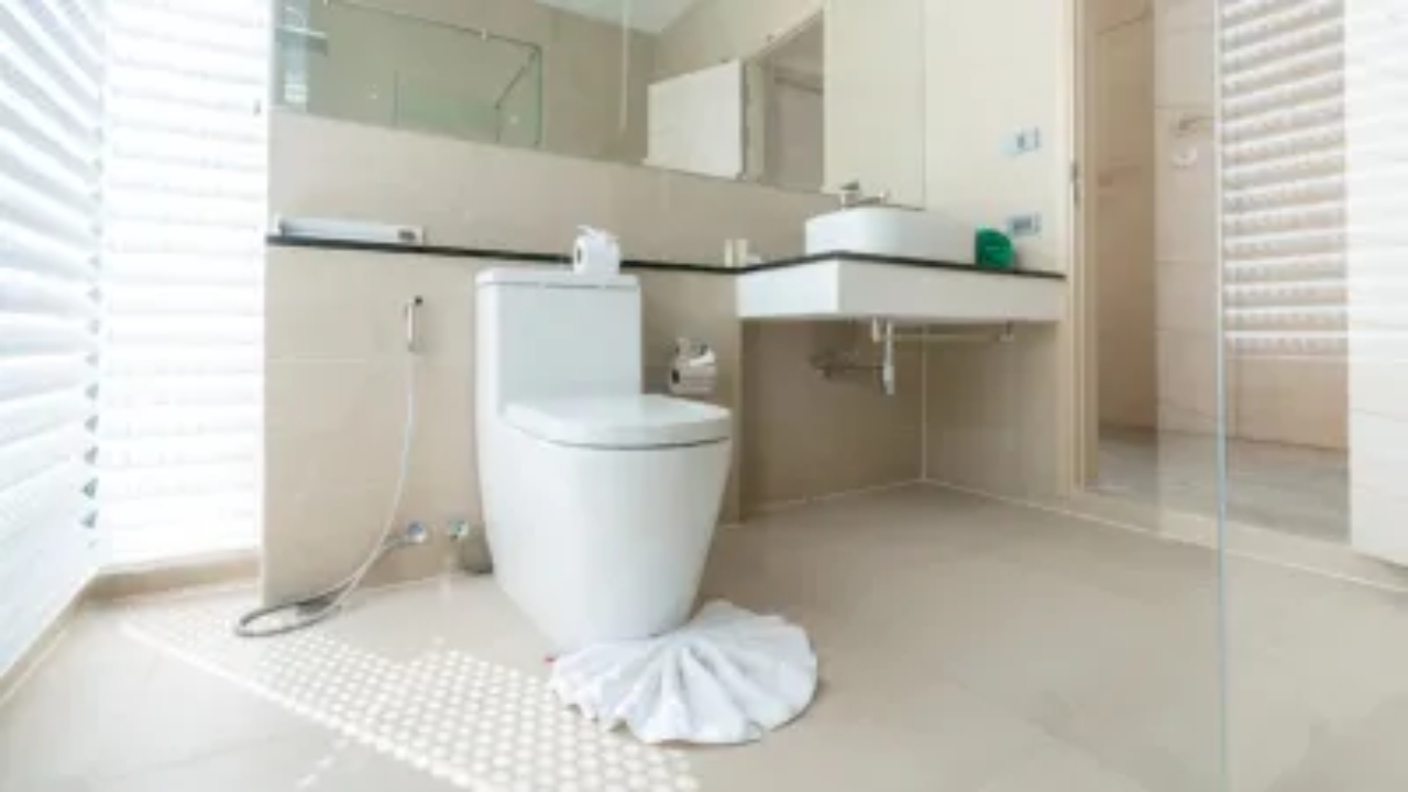 Vastu Tips Toilet Lid