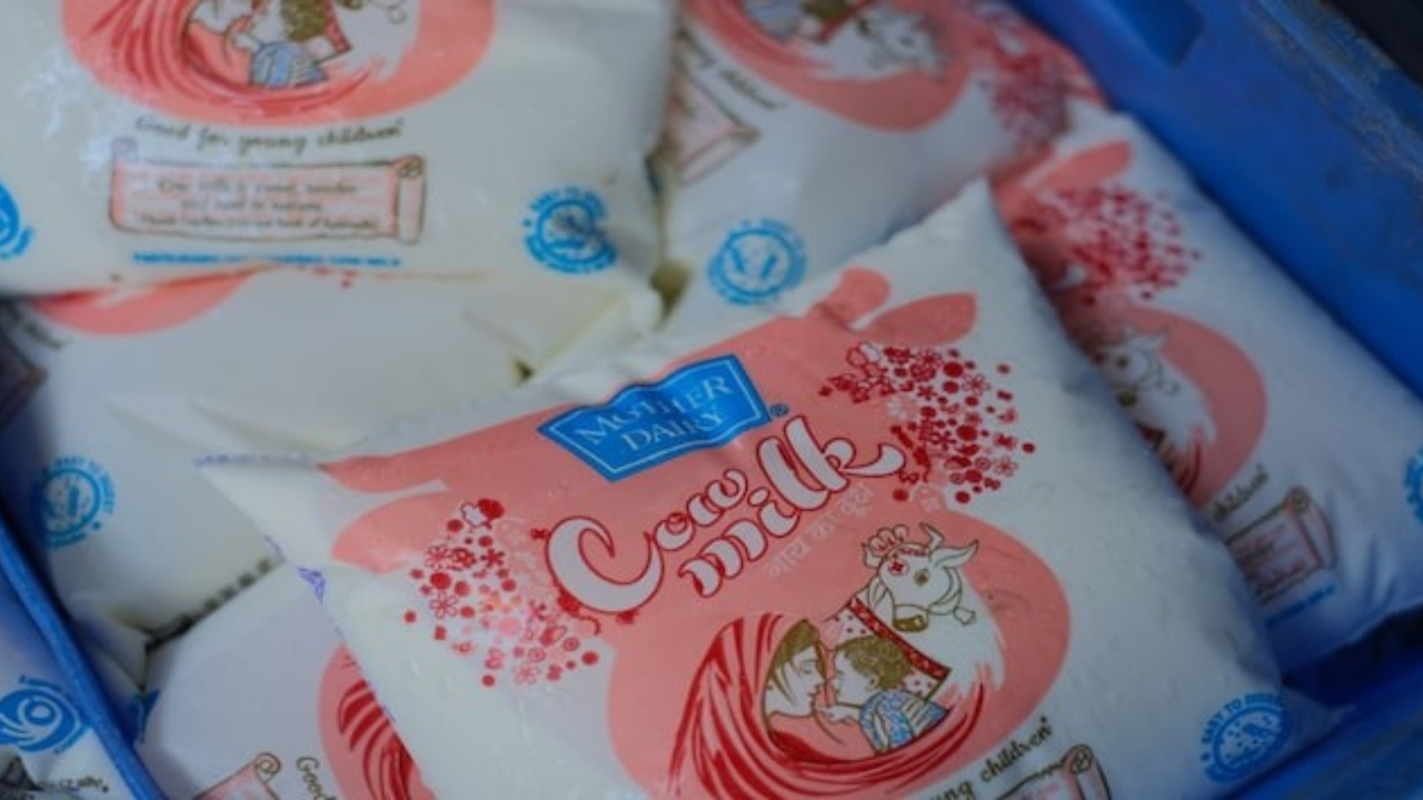 cow milk mother dairy