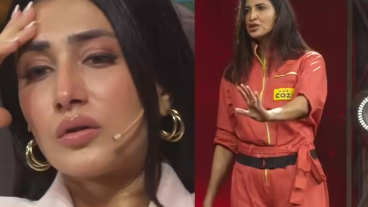 Ahana Kumra Harsh Comment