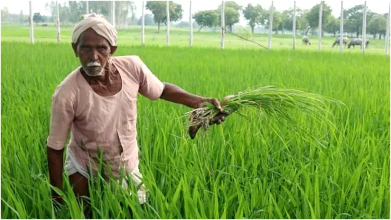 Pm Kisan