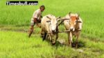 PM Kisan Yojana- March 13 is final! Farmers to get Rs 2000