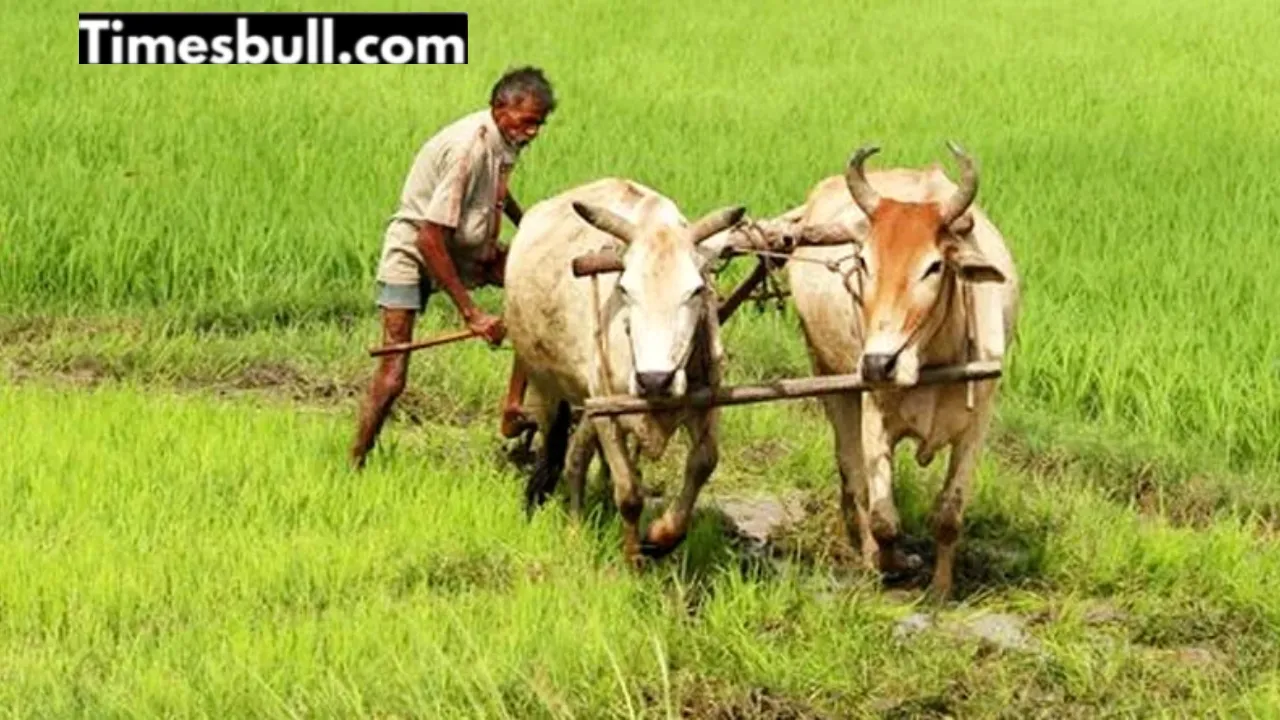 Pm Kisan