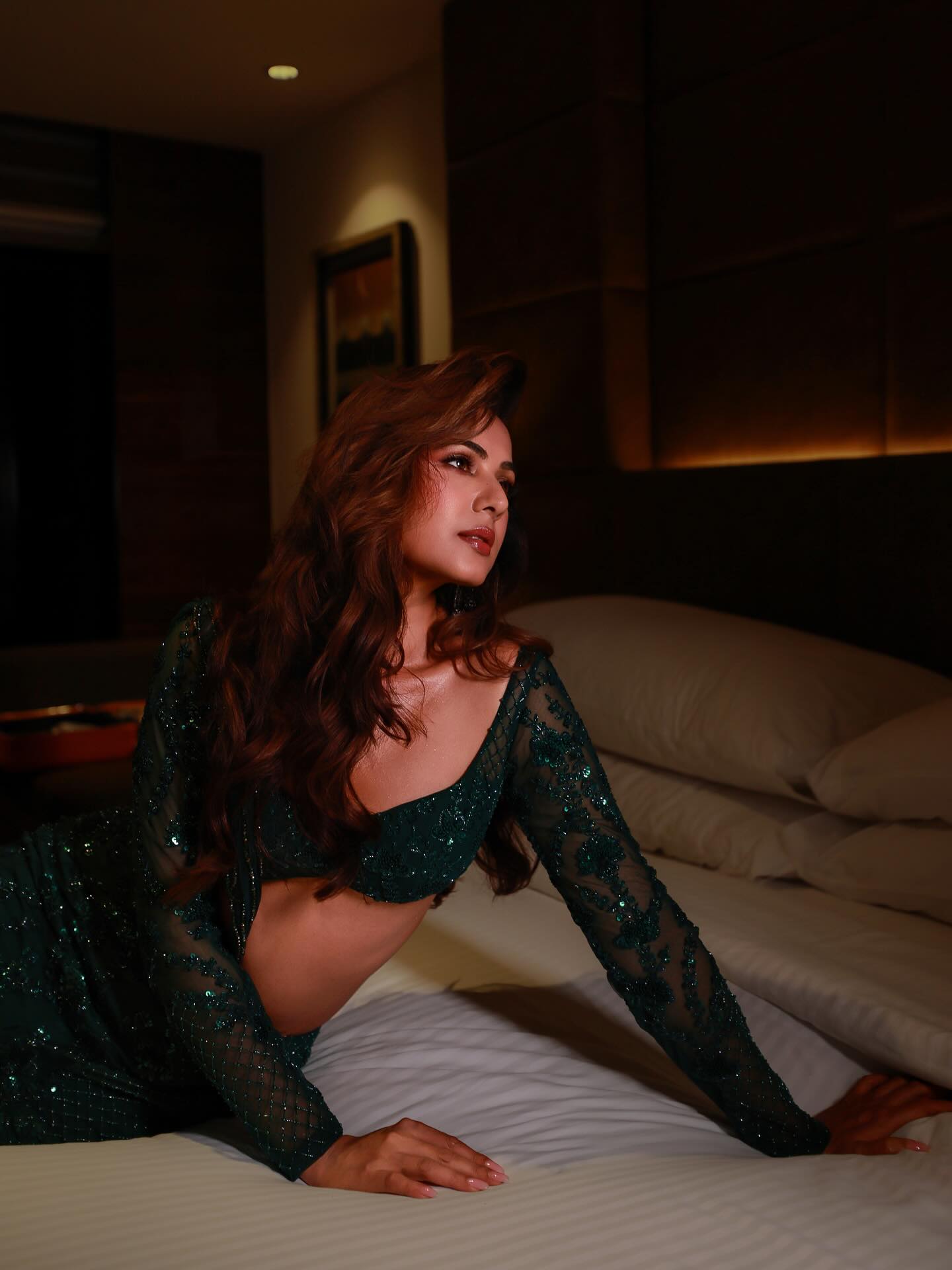 Sonal Chauhan Photos – Actress...