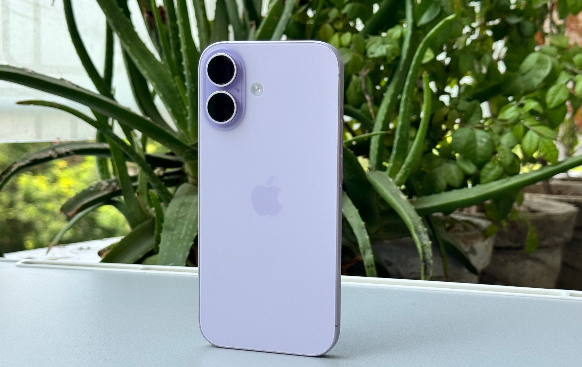 Xiaomi 17 vs iPhone 17:...