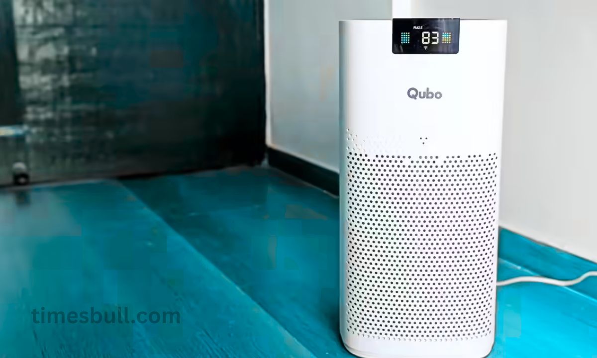 Air purifier: What factors