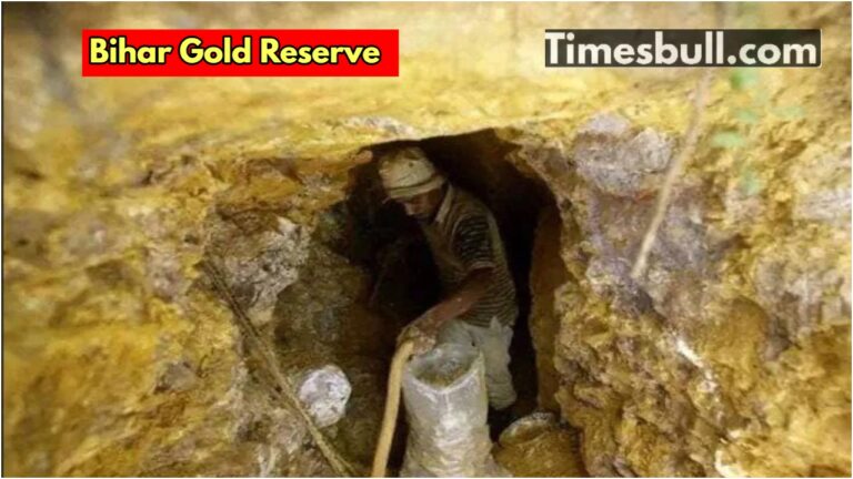 Gold mine found in Bihar, hidden gold reserves will leave you stunned
