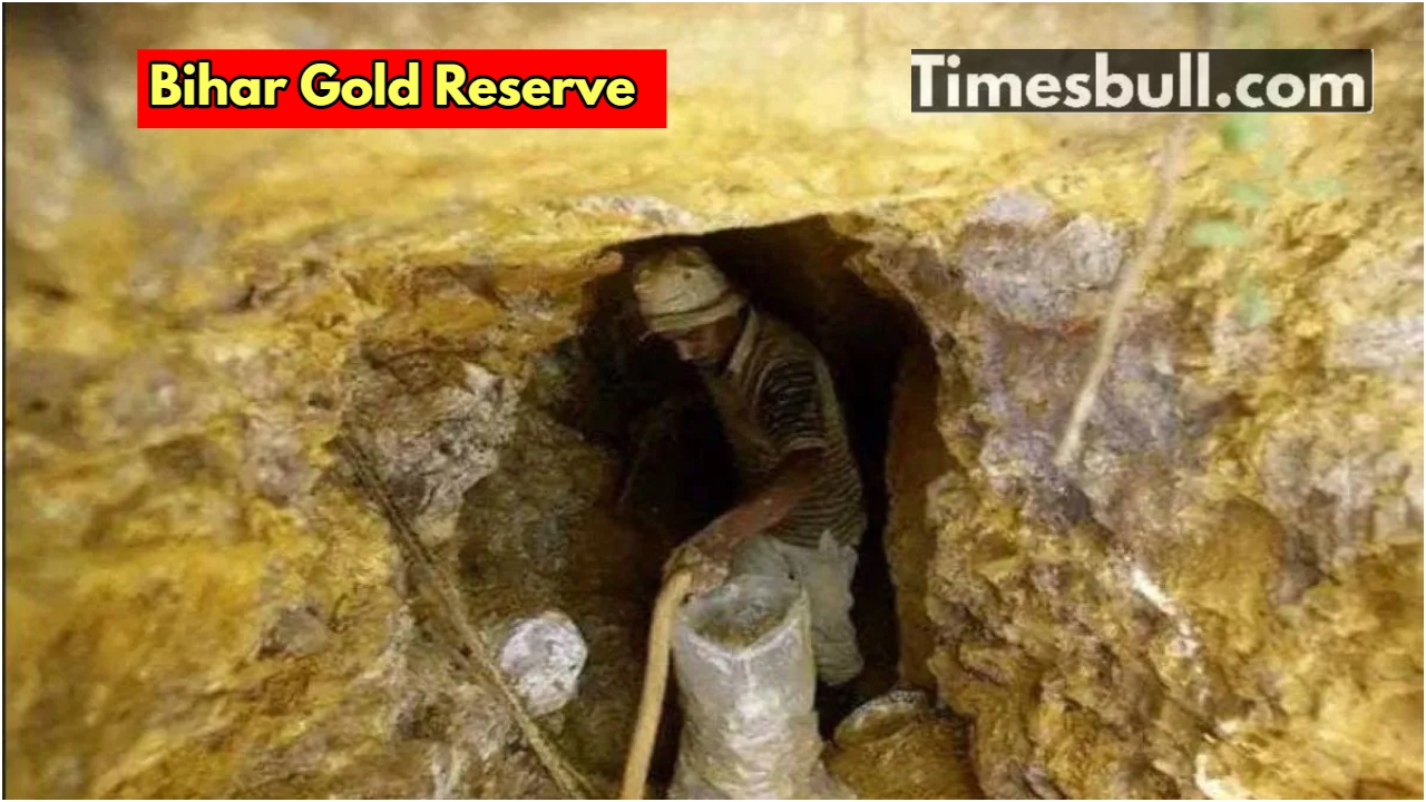 Gold mine found in