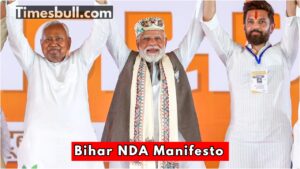 Bihar Nda Manifesto
