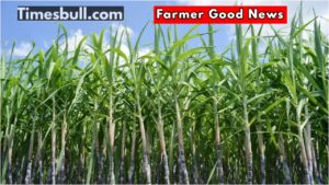 UP government hikes sugarcane price, a gift to farmers