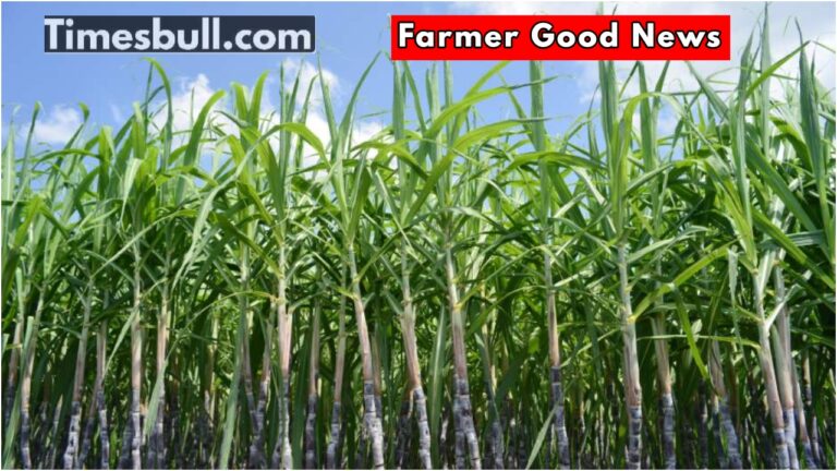 UP government hikes sugarcane price, a gift to farmers