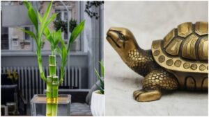 Feng Shui Tips: Keep These Items at Home to Attract Wealth