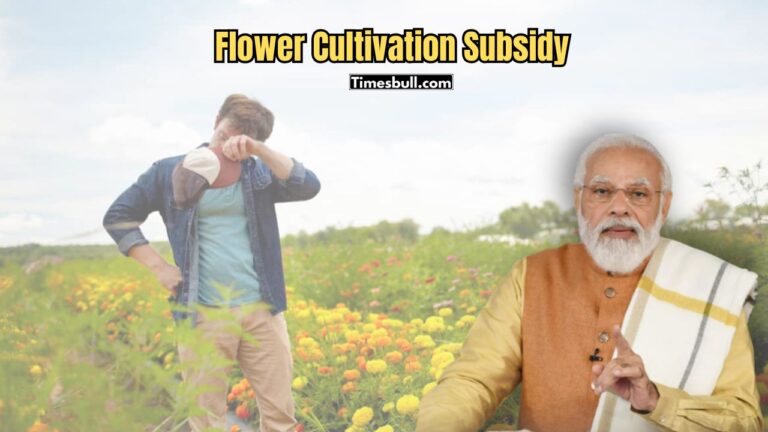 Flower Cultivation Subsidy: Govt Offers ₹1 Lakh Support for Farmers, Know How to Apply
