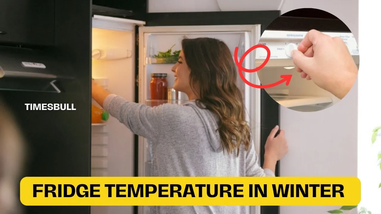 Fridge Temperature Tips In Winters