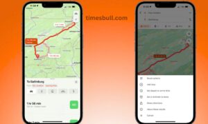 Google Maps vs Maples: 5 Maples features every Indian should know