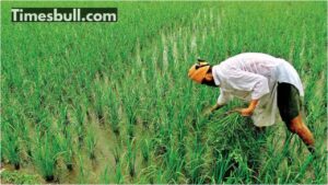 PMKSNY – If farmers haven’t received the 21st installment, file complaint here! Know process