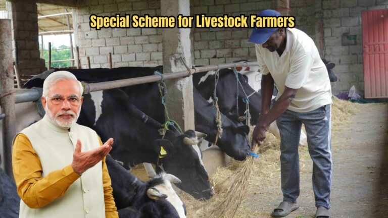 Get ₹80,000 Directly in Your Bank Account for Livestock Farming – Check Eligibility and Application Details