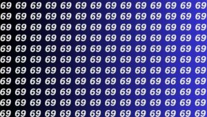 Optical Illusion – Can You Find the Hidden Number 66 Among the 69s in Just 5 Seconds?