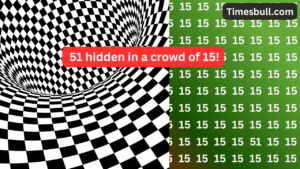 Optical Illusion: 51 hidden in a crowd of 15! If you find it, you’re a genius