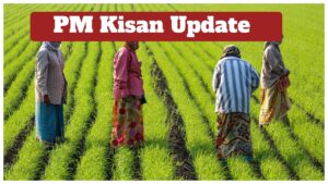 PM Kisan Update: Will Rs 2,000 be credited in November? How to check your payment status