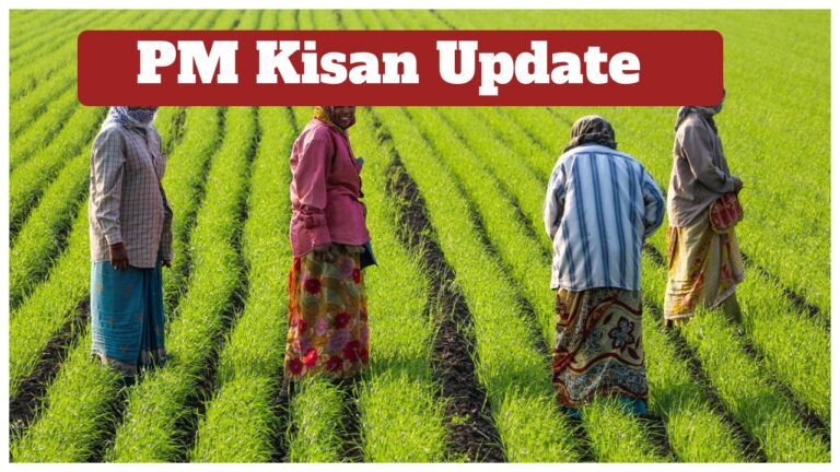 PM Kisan Update: Will Rs 2,000 be credited in November? How to check your payment status