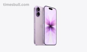 Vijay Sales Diwali Celebration: Save Up To Rs 6,000 On iPhone 17 With Many Offers