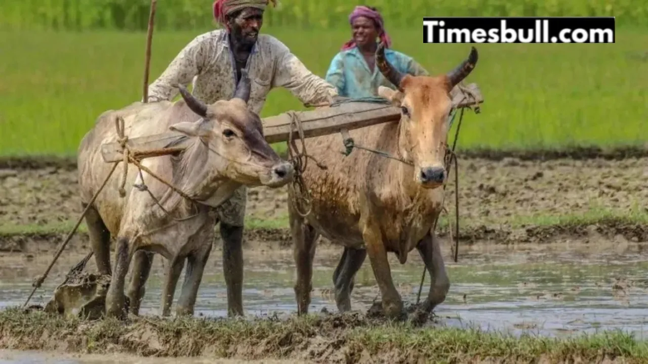 pm kisan yojana
