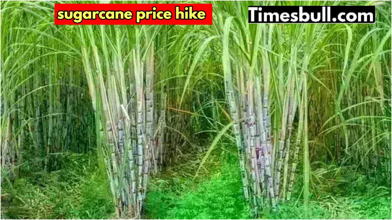 Diwali gift to farmers, sugarcane...
