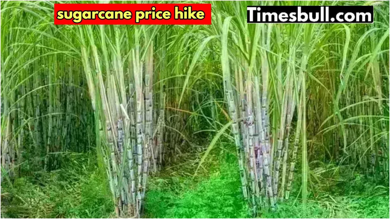 sugarcane price hike