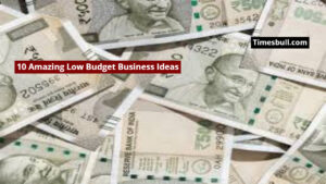 10 Amazing Business Ideas to Earn Money From Home, Start at Low Budget