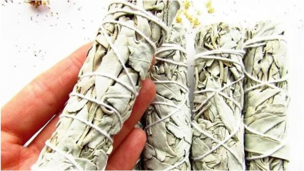 Benefits of Burning Sage