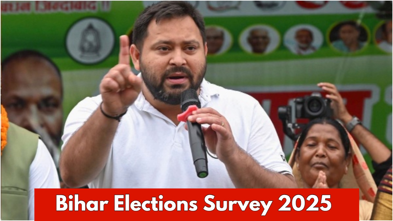 Bihar Election Survey –
