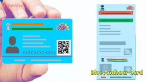 Newborn Aadhaar Made Easy: UIDAI’s Simple Process to Apply for Blue Aadhaar Card