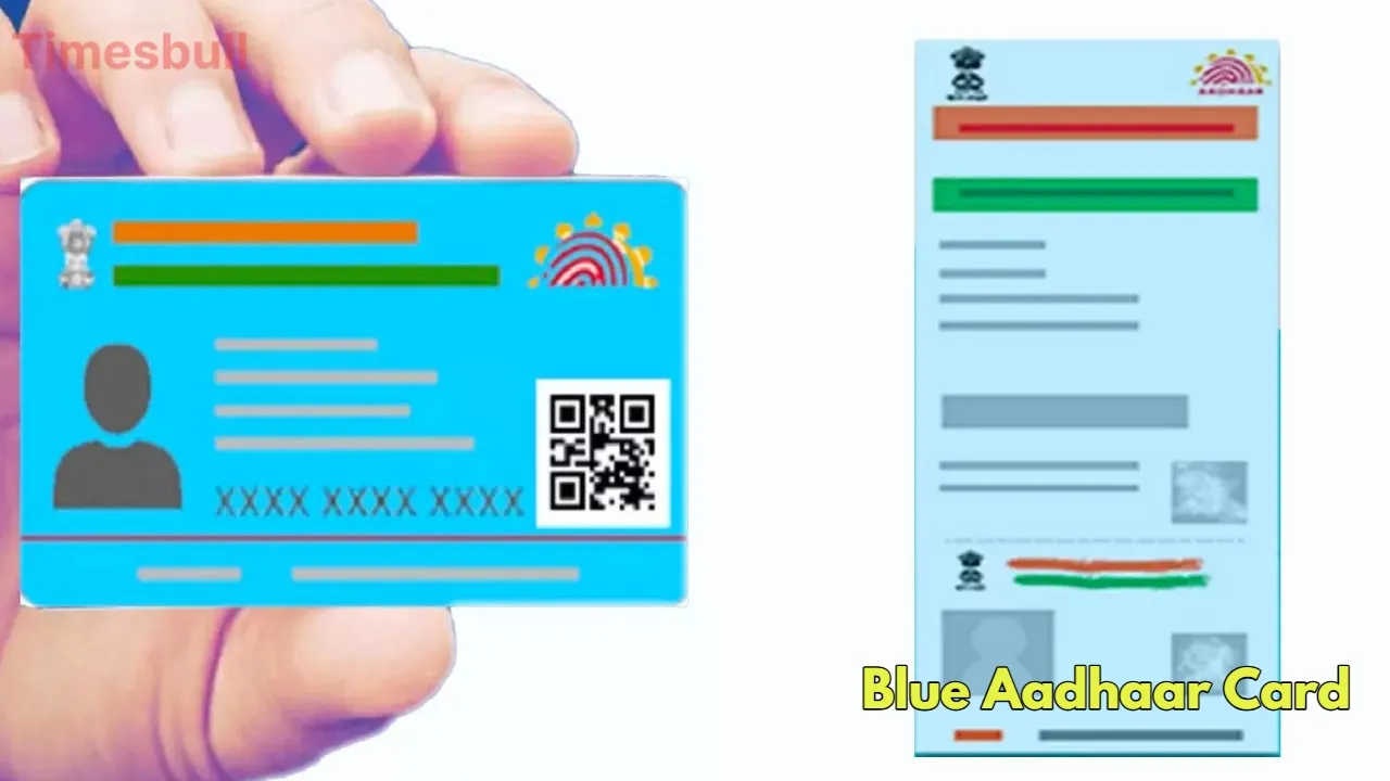 Blue Aadhaar Card