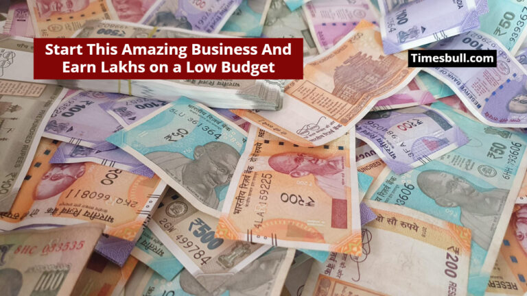 Start This Amazing Business And Earn Lakhs on a Low Budget