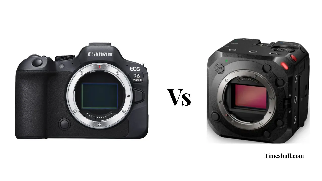 Canon Eos R6 Mark Ii Vs Panasonic Lumix Bs1h
