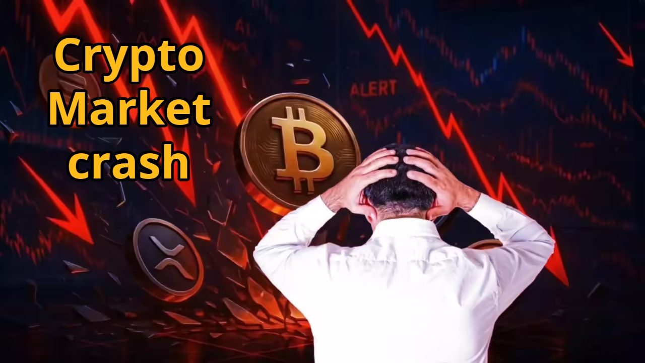 Crypto Market Crashes –
