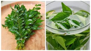 Curry Leaves Water Benefits – Why Drinking It Every Morning Works Wonders