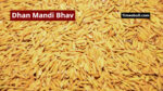 Dhan Mandi Bhav