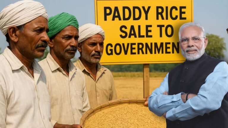 Good News for Farmers! Government Hikes Paddy MSP and Updates Selling System, Check Details