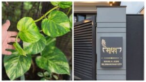 Feng Shui Tips for Home – Simple Changes That Boost Positivity and Prosperity