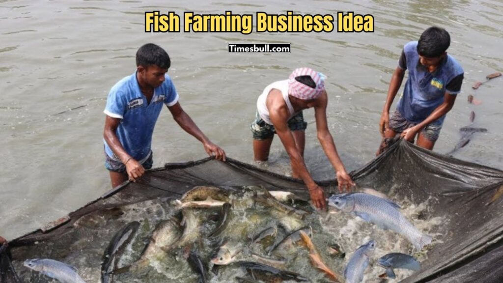 Fish Farming Business Idea – Want to Earn ₹1-2 Lakh This Winter? Follow These Fish Care Tips
