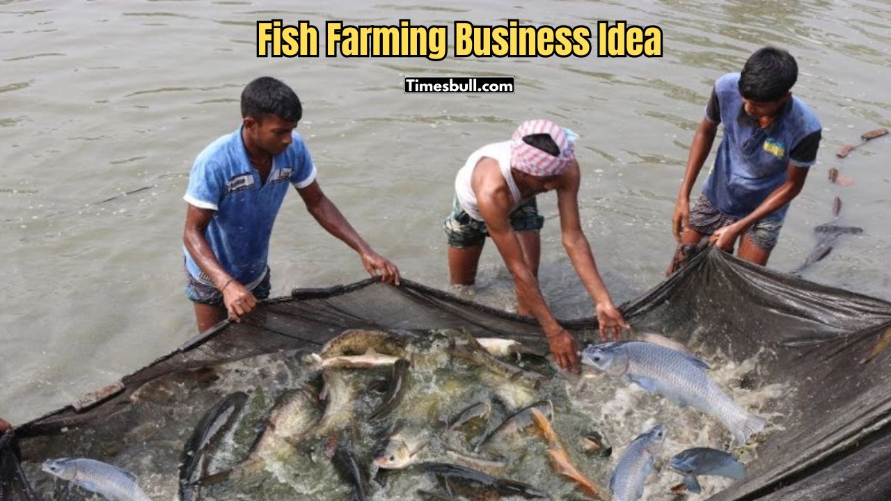 Fish Farming Business Idea Fish Farming Business Idea