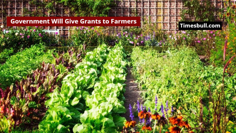 Government Will Give Grants to Farmers For Fruit, Vegetable and Flower Cultivation, Know How to Avail the Benefits
