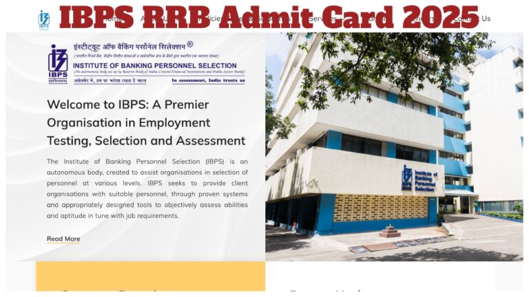 IBPS RRB Admit Card 2025 – Direct Link to Download Hall Ticket at ibps.in
