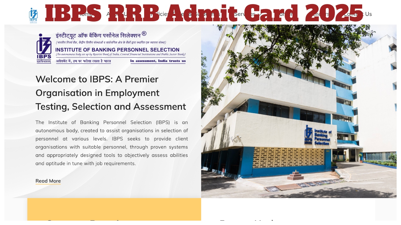 IBPS RRB Admit Card