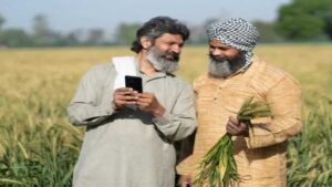 KCC Loan: What happens when a loan is settled in case of death or accident? Read the details