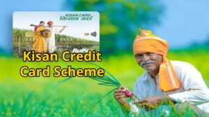 Now you can get a Kisan Credit Card from home, learn the easy process