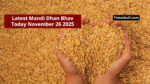 Latest Dhan Bhav Today November 26 2025